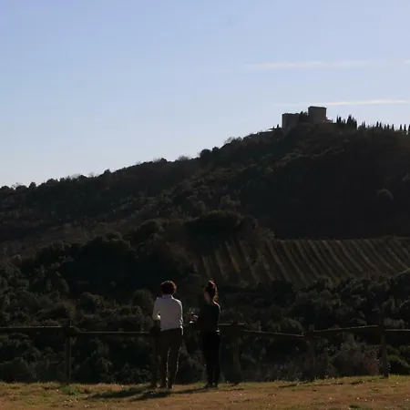 Wine Loft Sant Antimo * Montalcino